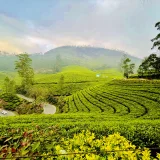 Photo Point Idukki 